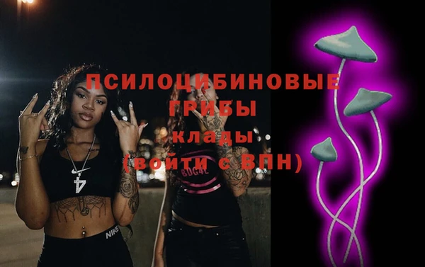 мяу мяу мука Алексин