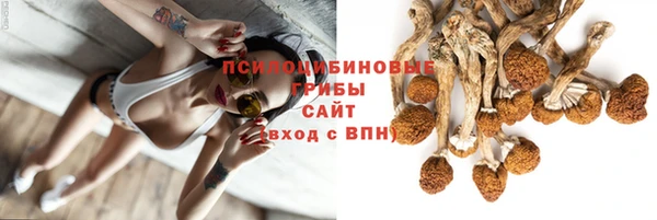 мяу мяу мука Алексин