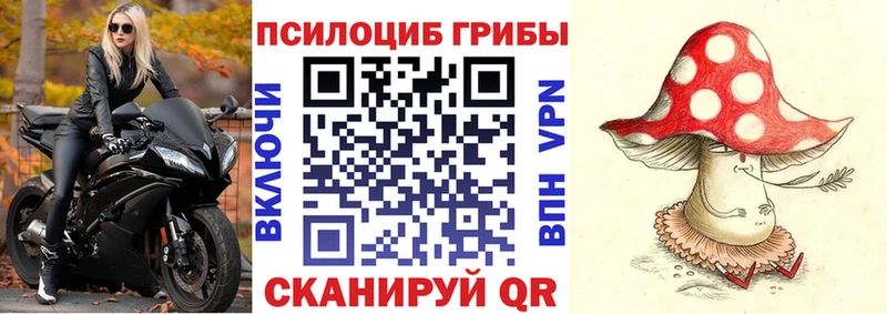 Галлюциногенные грибы GOLDEN TEACHER mega ONION Пучеж купить закладку